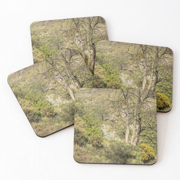 Item preview, A Tree designed and sold by ShinyPhoto.
