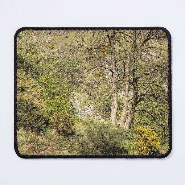 Item preview, A Tree designed and sold by ShinyPhoto.