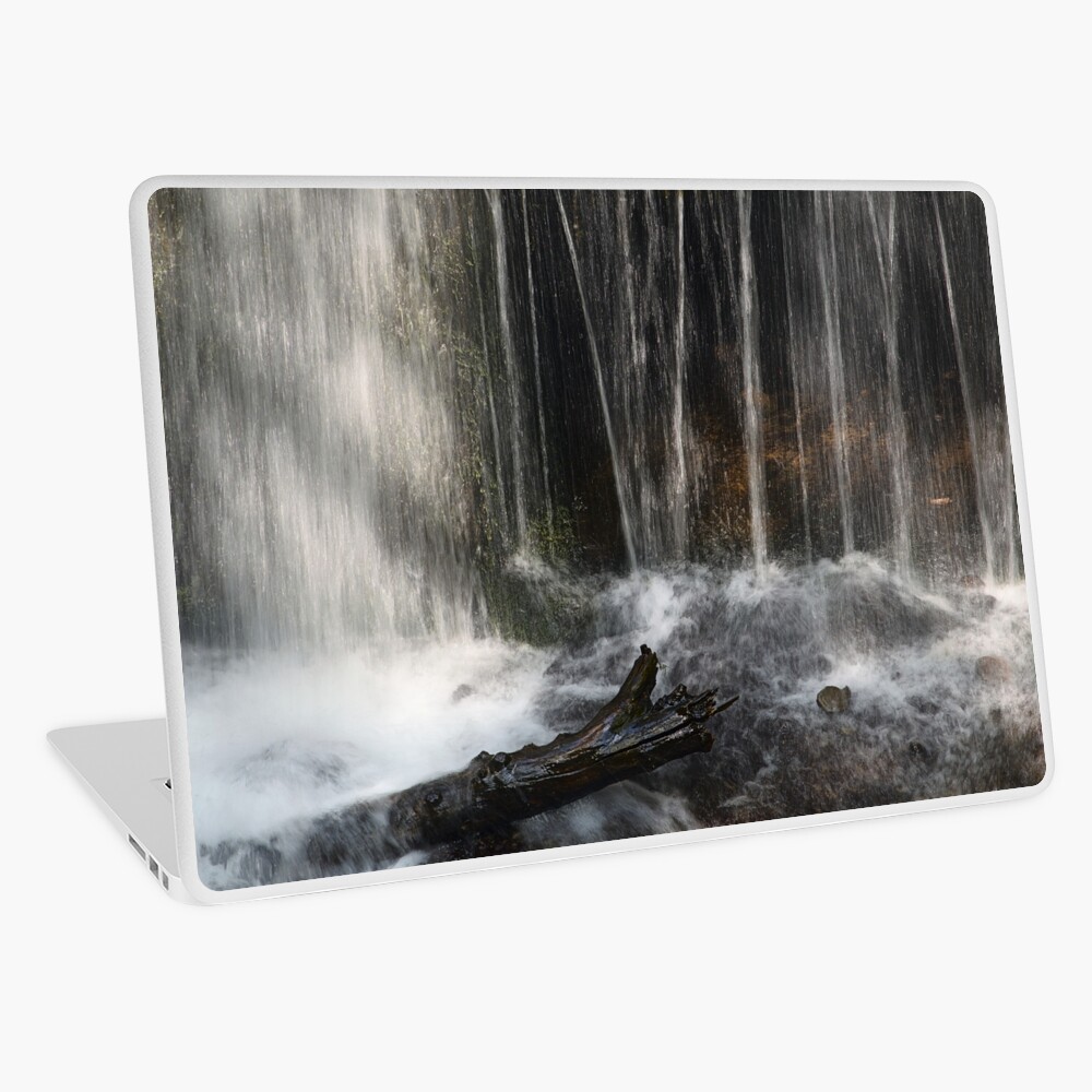 Item preview, Laptop Skin designed and sold by ShinyPhoto.