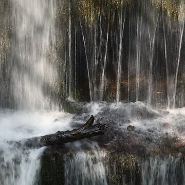 Artwork thumbnail, Flowing by ShinyPhoto