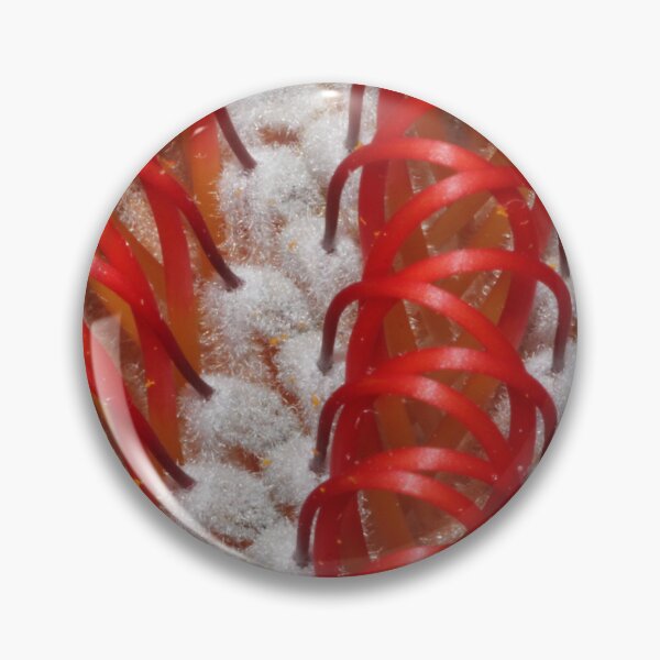 Item preview, Banksia coccinea designed and sold by andrachne.