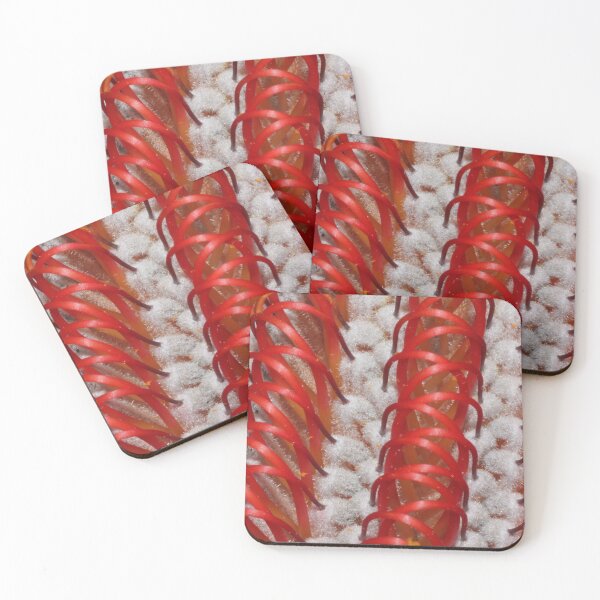 Item preview, Banksia coccinea designed and sold by andrachne.