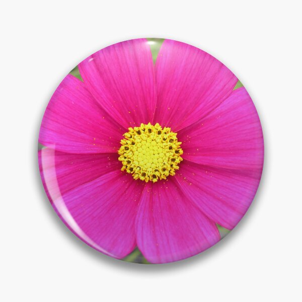 Item preview, Cosmos Sensation Carmine Pretty Flowers  designed and sold by cascadecuts.