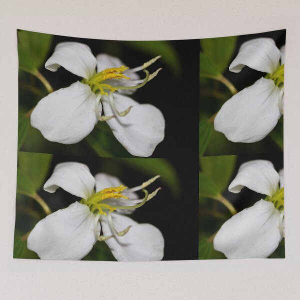 Item preview, Melastoma cyanoides  designed and sold by andrachne.