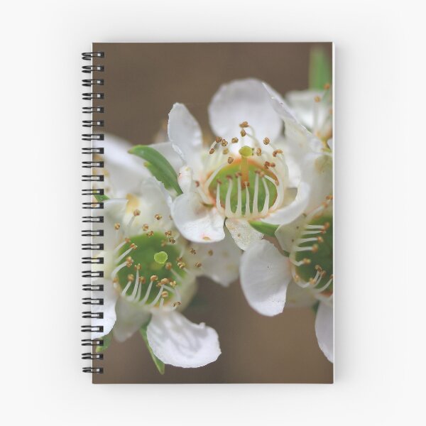 Item preview, Leptospermum Cardwell designed and sold by andrachne.