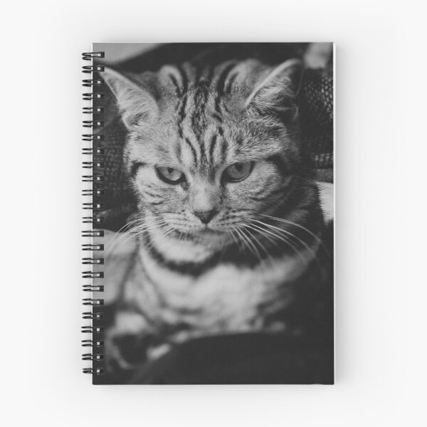 Item preview, Heera designed and sold by Allenart_UK.