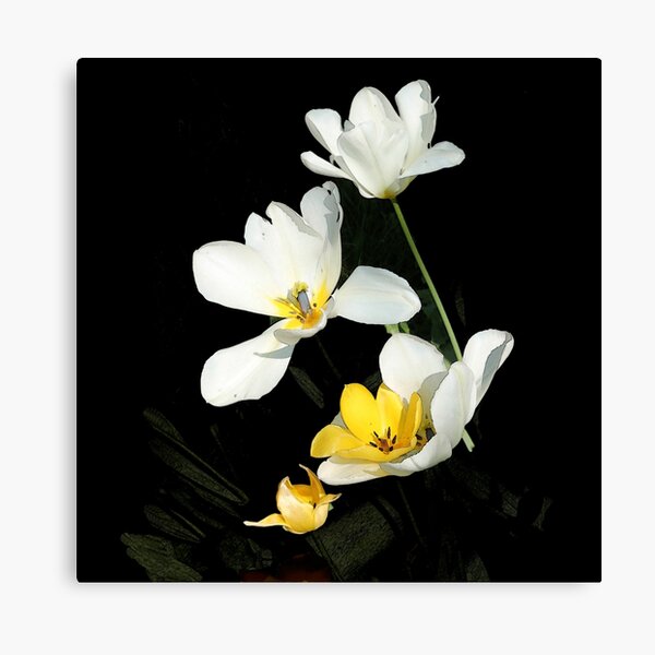 Dark times Canvas Print