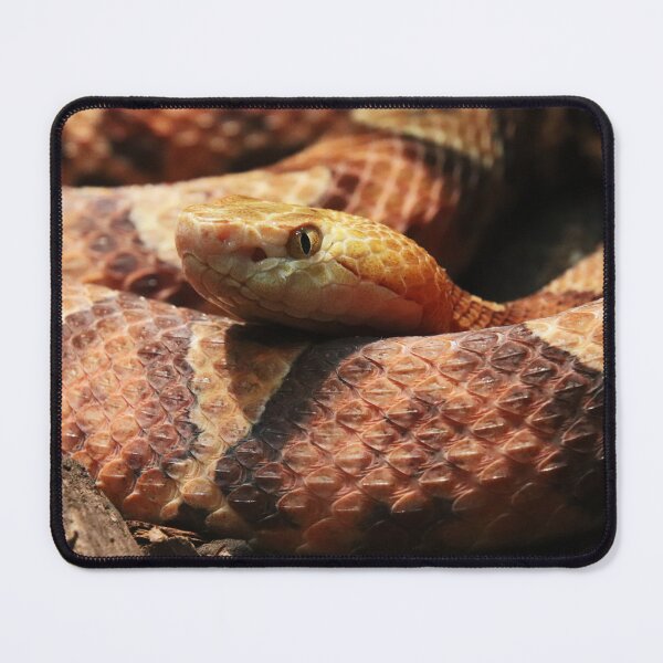 Item preview, Copperhead designed and sold by rootedrender.