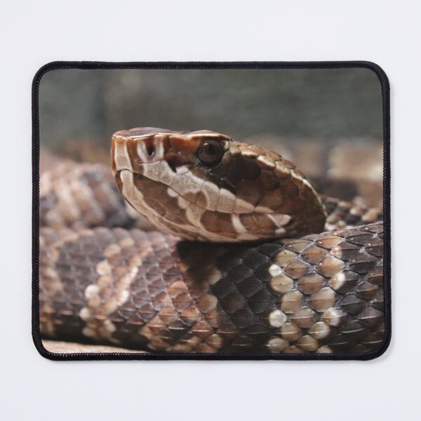 Item preview, Cottonmouth designed and sold by rootedrender.