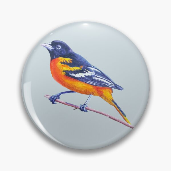 Item preview, Baltimore Oriole - bird painting (no background) designed and sold by Emily Bickell.