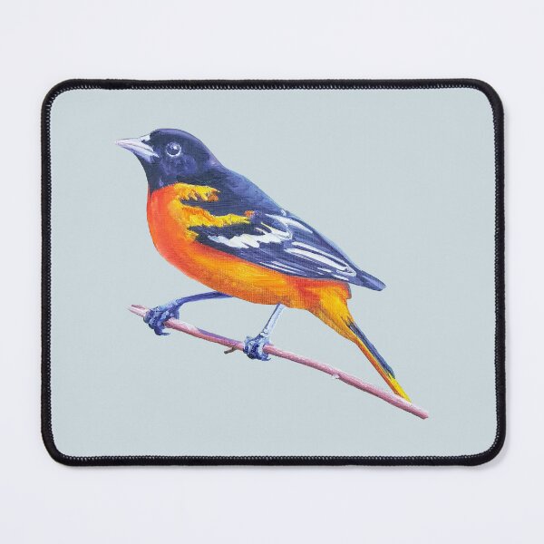 Item preview, Baltimore Oriole - bird painting (no background) designed and sold by Emily Bickell.