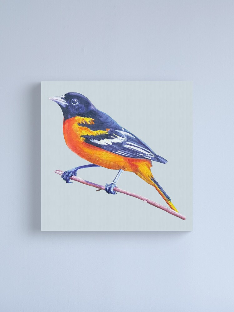 Minimalist Orioles Bird Canvas