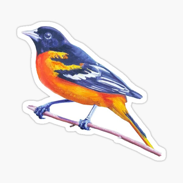 Item preview, Baltimore Oriole - bird painting (no background) designed and sold by Emily Bickell.