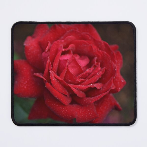 Item preview, Soft Red Rose designed and sold by Angela Adams.