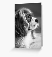 Wilson Greeting Card