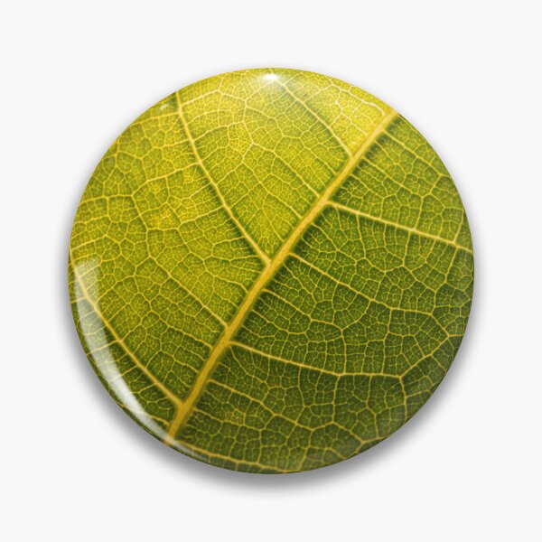 Item preview, Macro Leaf Venation  designed and sold by PhotosByFelix.