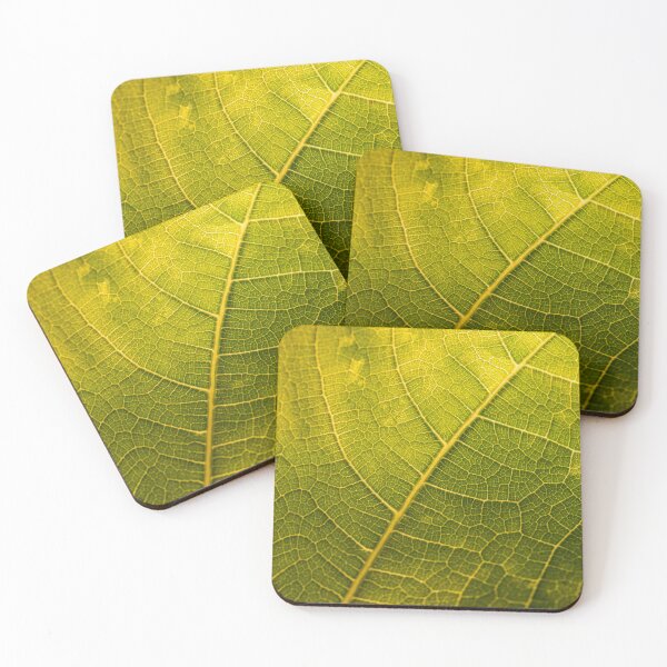Item preview, Macro Leaf Venation  designed and sold by PhotosByFelix.