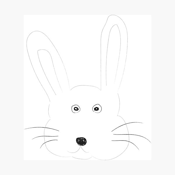bunny Photographic Print