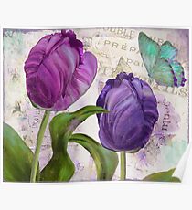 Purple Parrot Tulips Poster