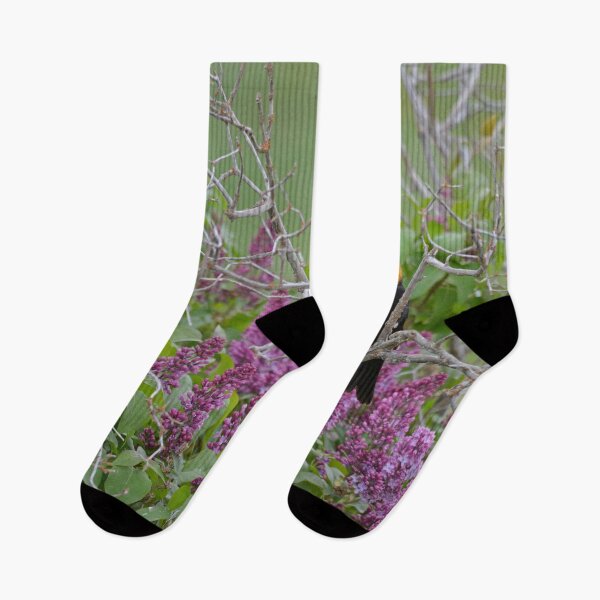 Item preview, Yellow Head Blackbird and Lilacs designed and sold by Whisperingpeaks.