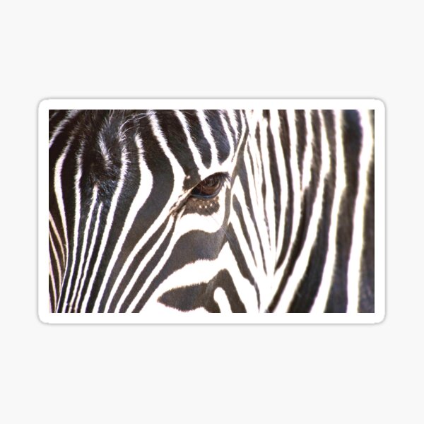 Item preview, Zebra designed and sold by Stratoguayota.