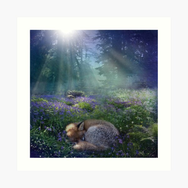 Bluebell Dawn Art Print