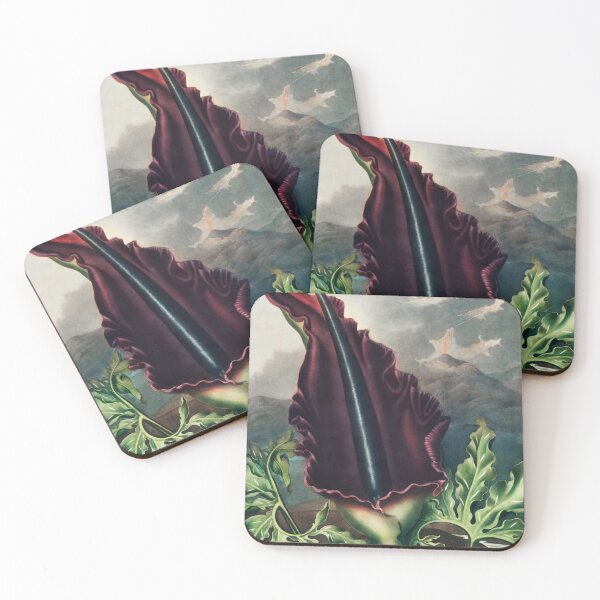 Item preview, Antique Dragon Arum Illustration designed and sold by jadeandjester.