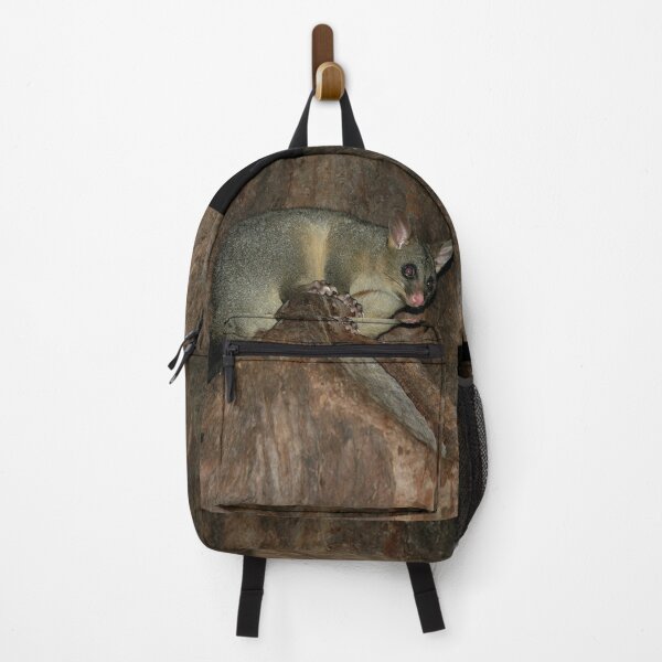Item preview, Possum In Tree, Hyde Park, Sydney, Australia 2005 designed and sold by muz2142.