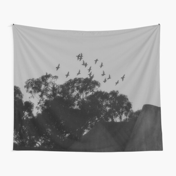 Aperçu de l'œuvre Vol nocturne, oiseaux survolant des eucalyptus et des toits créée et vendue par Anna Lemos.