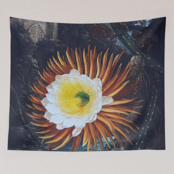 Item preview, Antique Night Cereus Illustration designed and sold by jadeandjester.