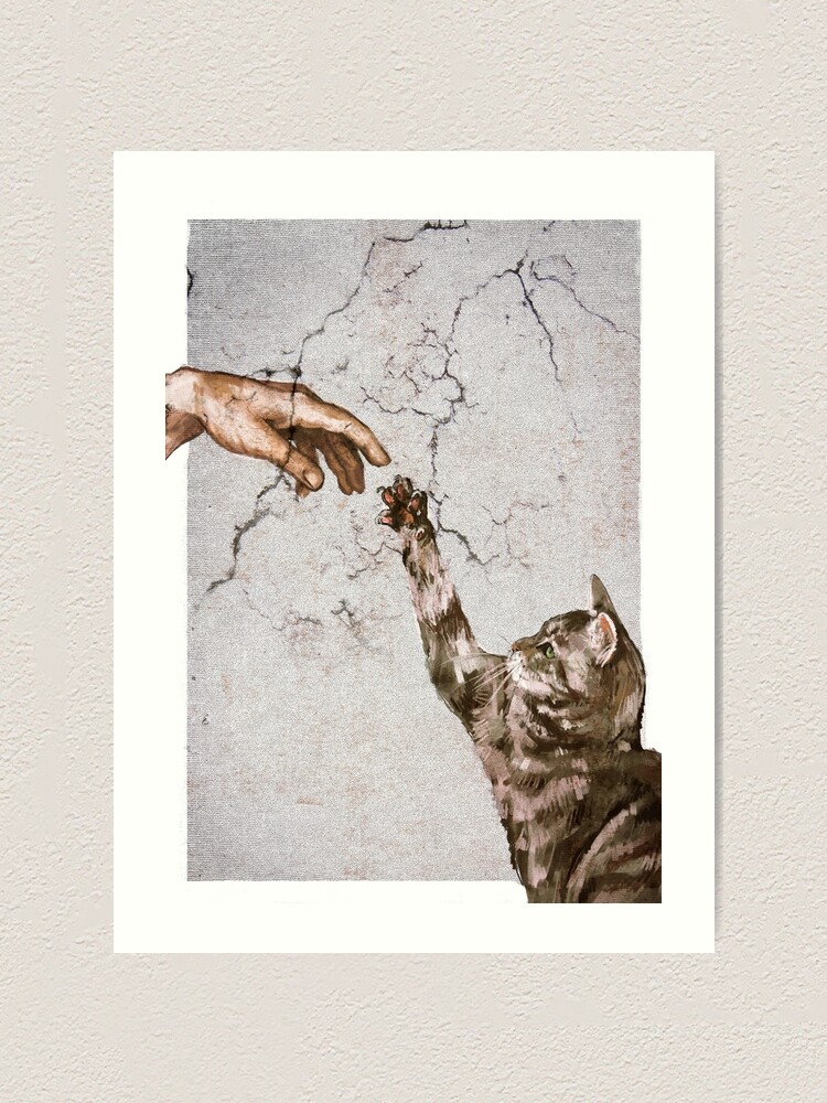 the creation of adam cat