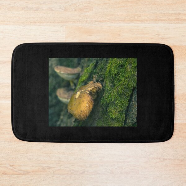 Item preview, Mushroom and Moss Photography designed and sold by Courtney Matulewicz.