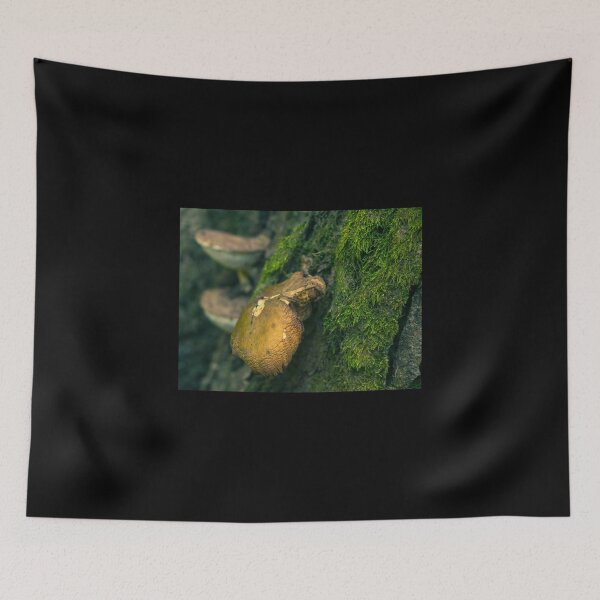 Item preview, Mushroom and Moss Photography designed and sold by Courtney Matulewicz.