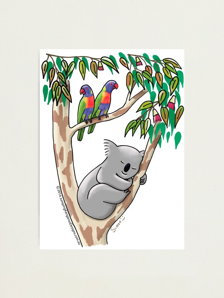 Alternate view of Sweet Dreams Sleeping Koala Photographic Print