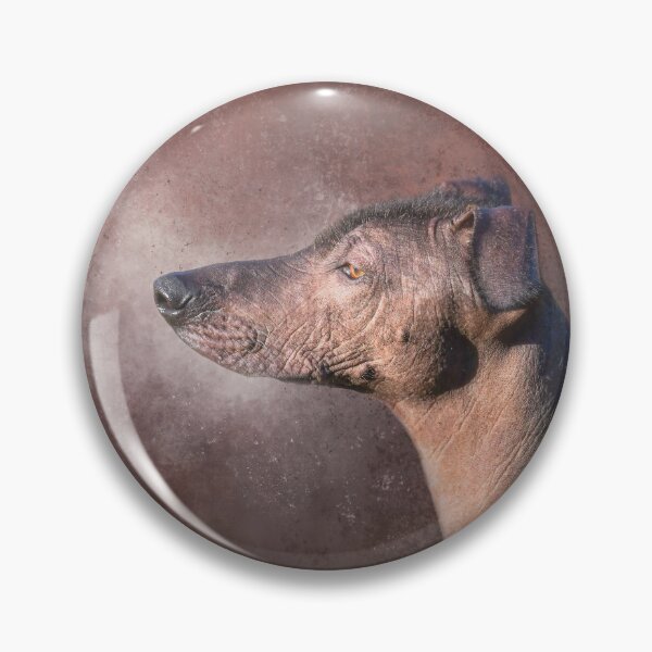 Item preview, Mexican Hairless Dog One designed and sold by Elisabeth Lucas.