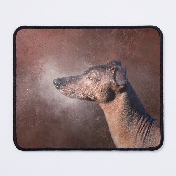 Item preview, Mexican Hairless Dog One designed and sold by Elisabeth Lucas.