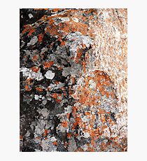 Stains Photographic Print