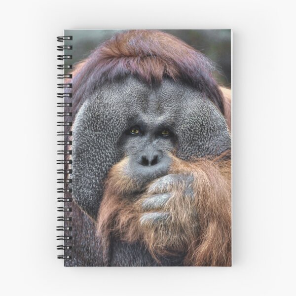 Item preview, Orangutan designed and sold by Savannah Gibbs.