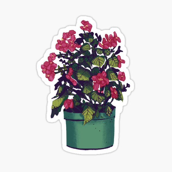 Begonia Sticker