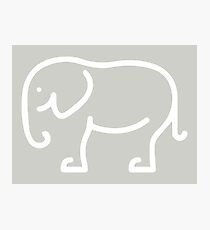 Elephant Photographic Print