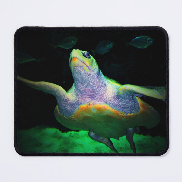Item preview, Underwater  designed and sold by Savannah Gibbs.