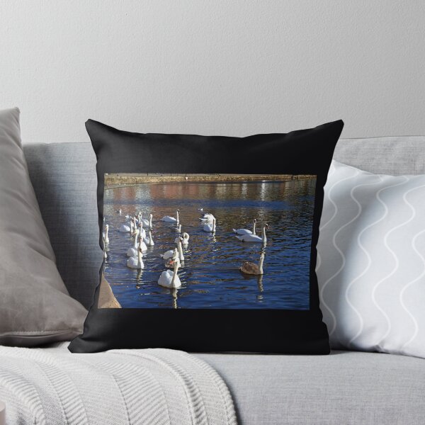 Item preview, Swanee River.............. designed and sold by lynn carter.