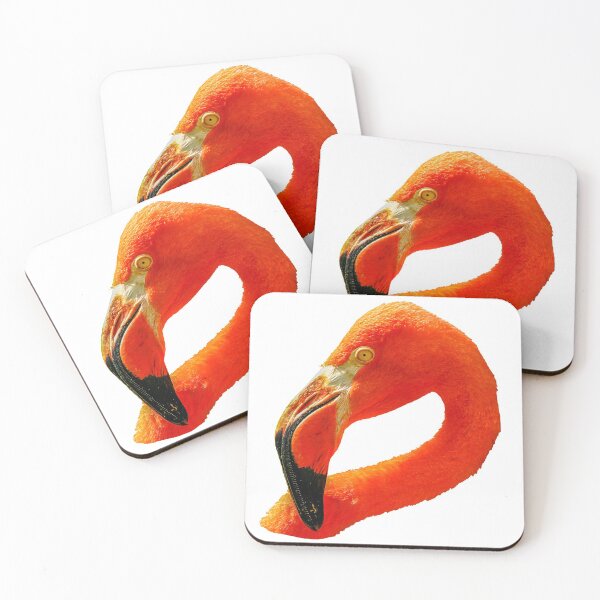 Item preview, Flamingo curves designed and sold by Dalyndigital Photography.