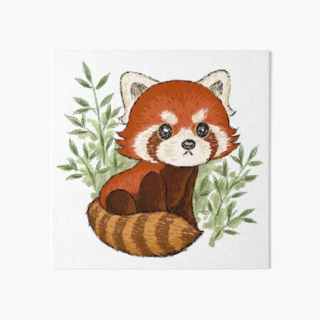 Handsome red panda Art Board Print for Sale by Toru Sanogawa