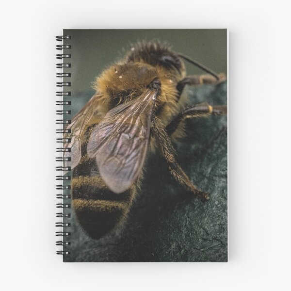 Item preview, Bee Leith Park Victoria 20170321 1411  designed and sold by Fred Mitchell.