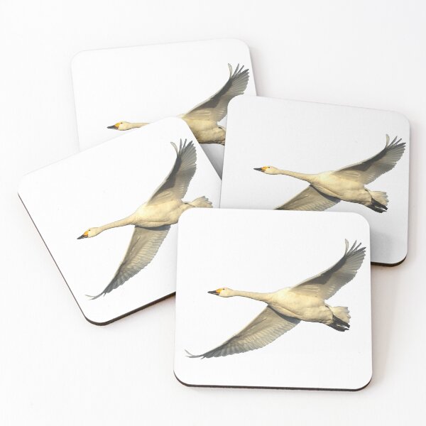 Item preview, Bewicks Swan on the wing designed and sold by Dalyndigital Photography.