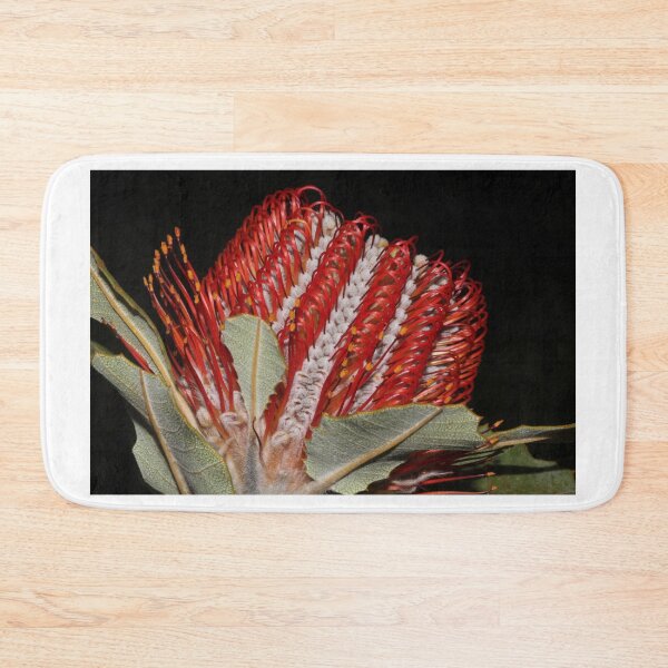 Item preview, Banksia coccinea designed and sold by andrachne.