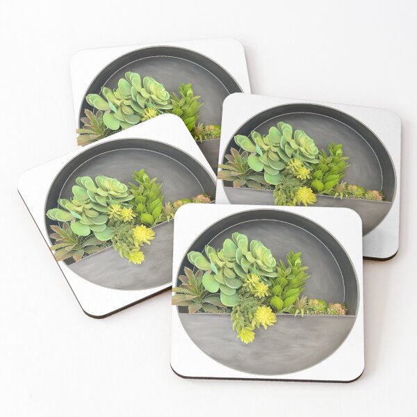 Item preview, Succulent Plant Arrangement Wall hanging designed and sold by EschatonGarden.
