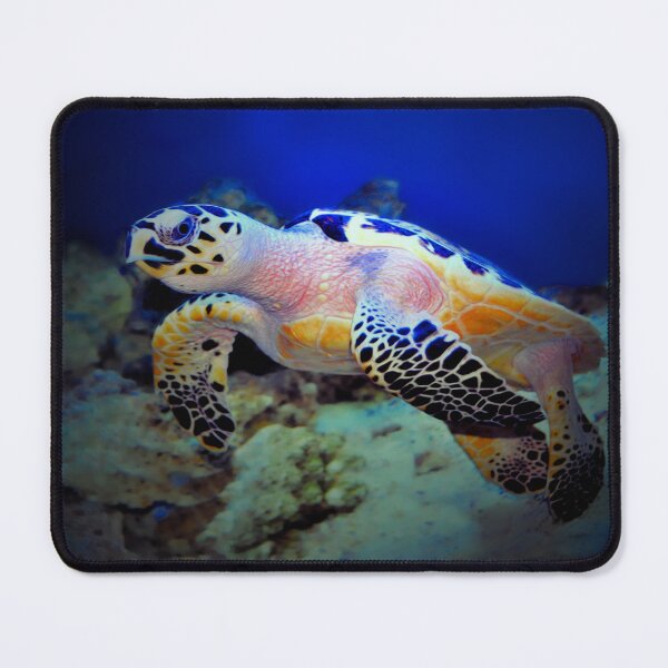 Item preview, Underwater  designed and sold by Savannah Gibbs.