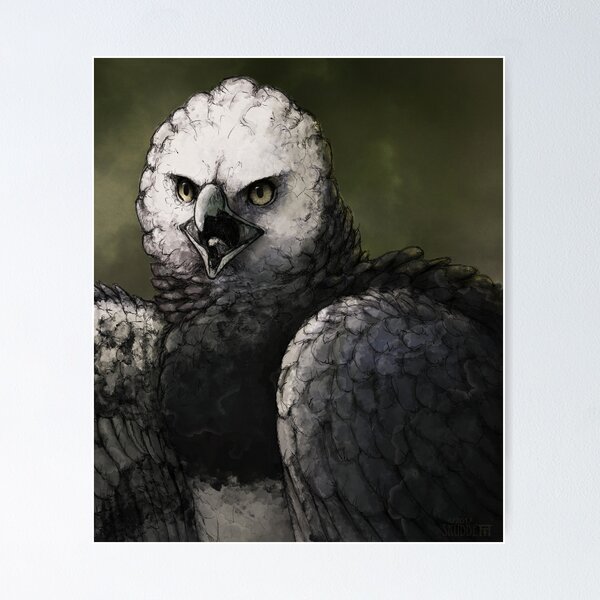 Harpy Eagle Art Print for Sale by BarefootSeeker